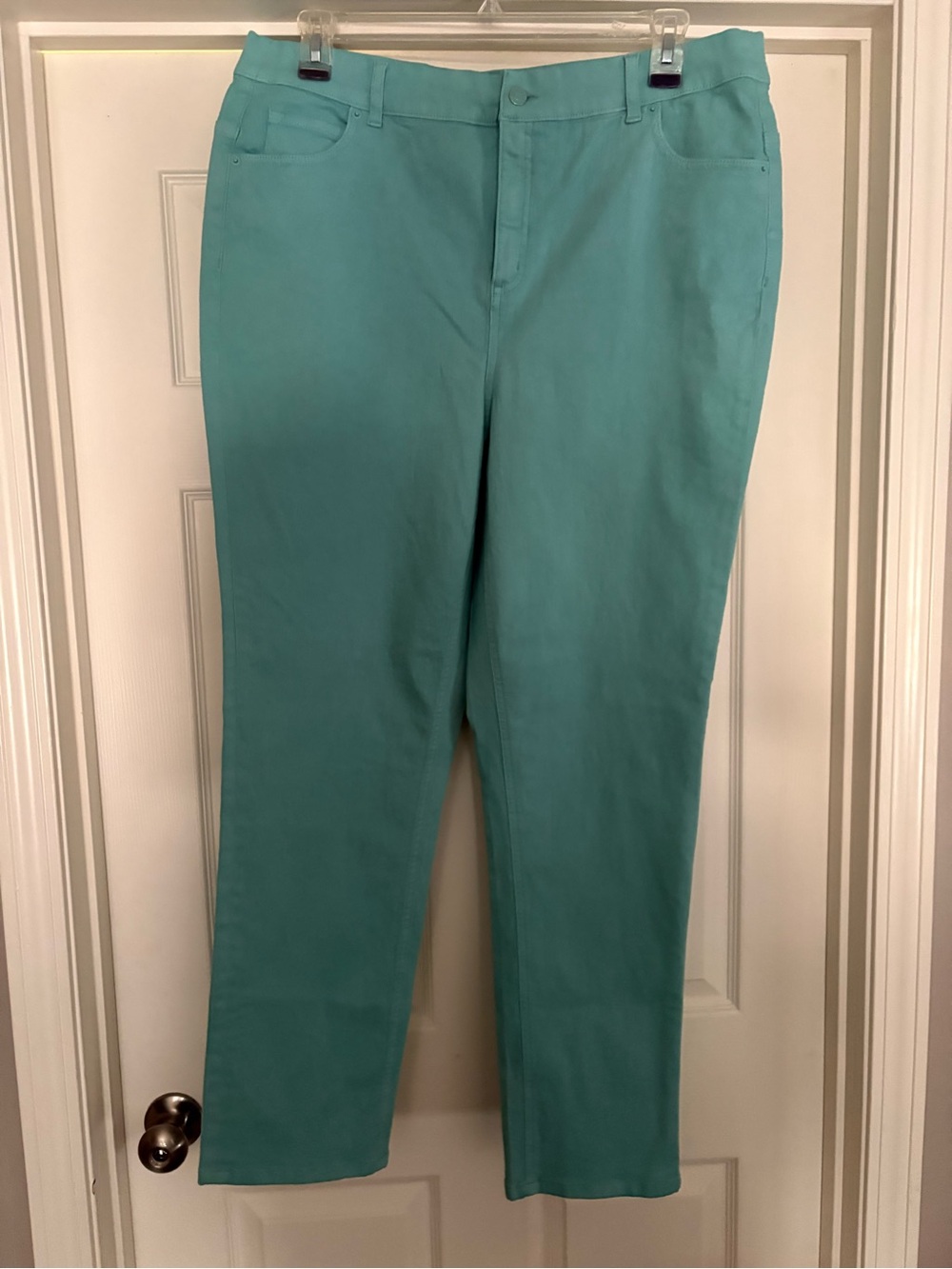 NWOT-d&co Classic Stretch Colored Jeans in Turquoise